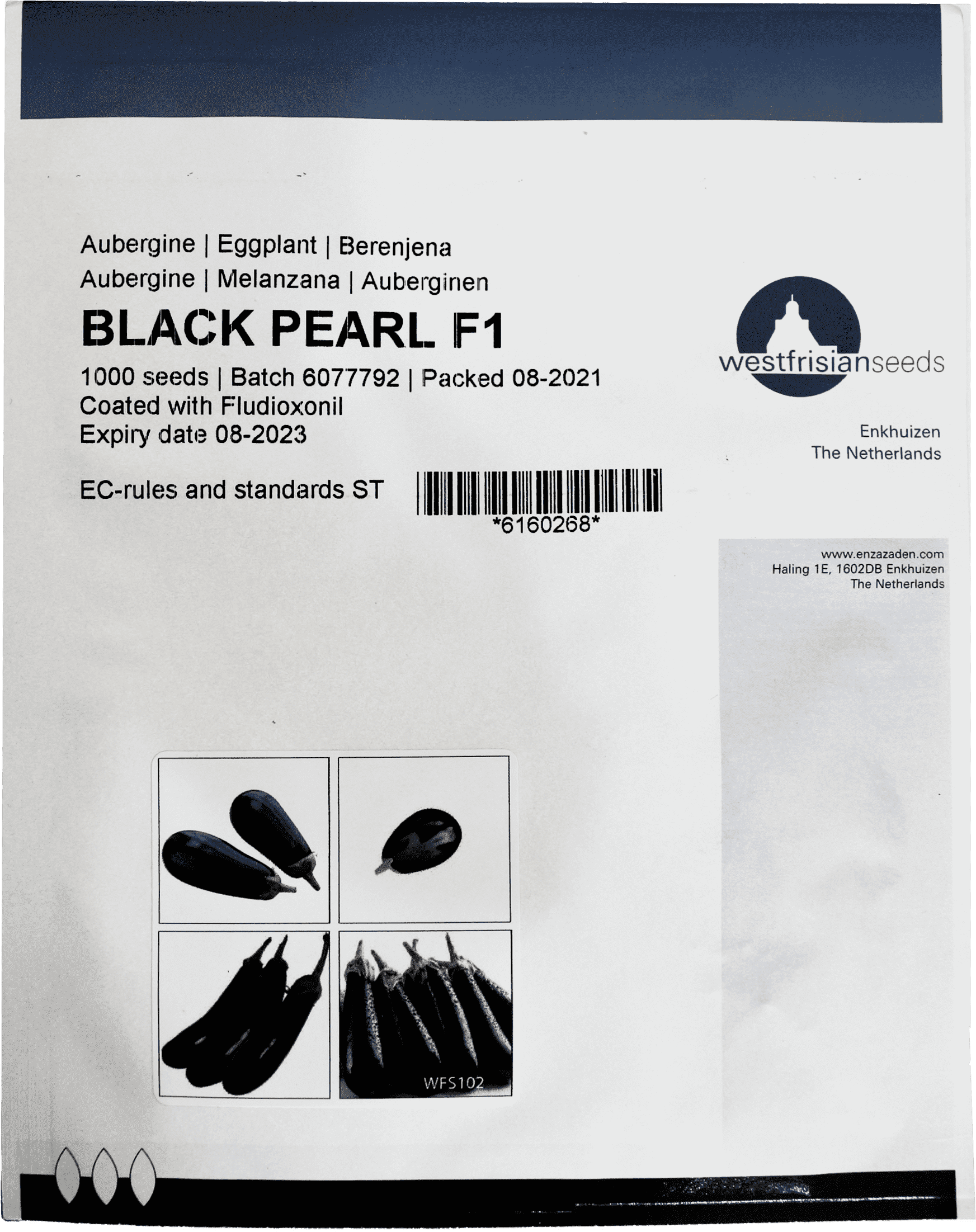 EGGPLANT BLACK PEARL F1