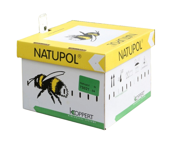 80101 Natupol Bumble Bees